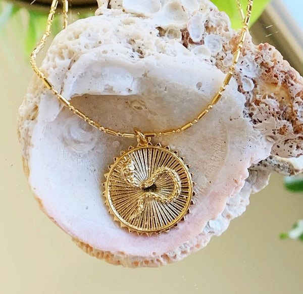 Big Renewal Necklace